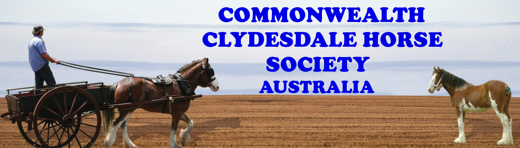 Commonwealth Clyedsdale Horse Society
